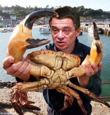 Tomica_se_boji_krabe_jos